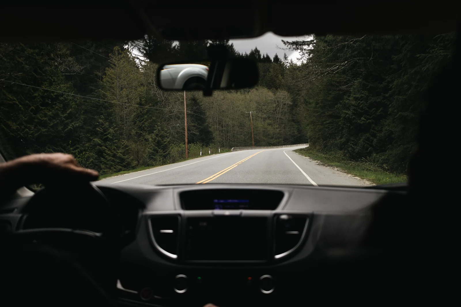 View past a driver and dashboard toward a curving forest road